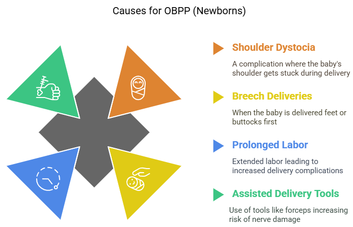Causes for OBPP (Newborns) Causes for OBPP (Newborns)