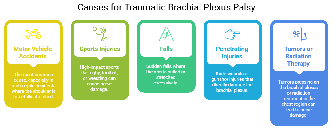 Causes for traumatic brachial plexus palsy Causes for traumatic brachial plexus palsy