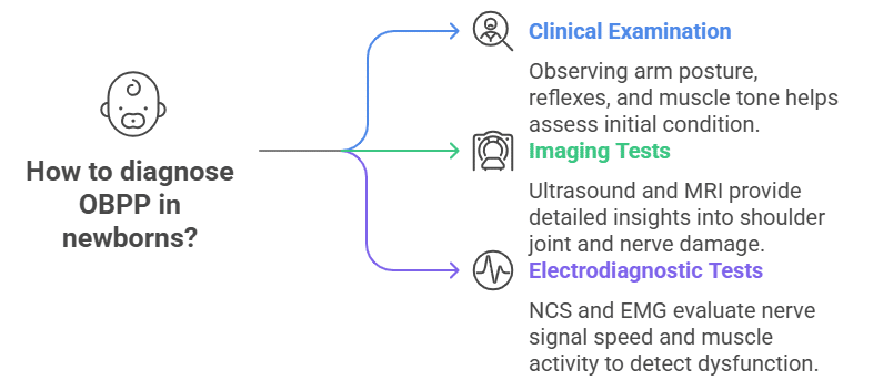 Diagnosis for OBPP (Newborns) Diagnosis for OBPP (Newborns)