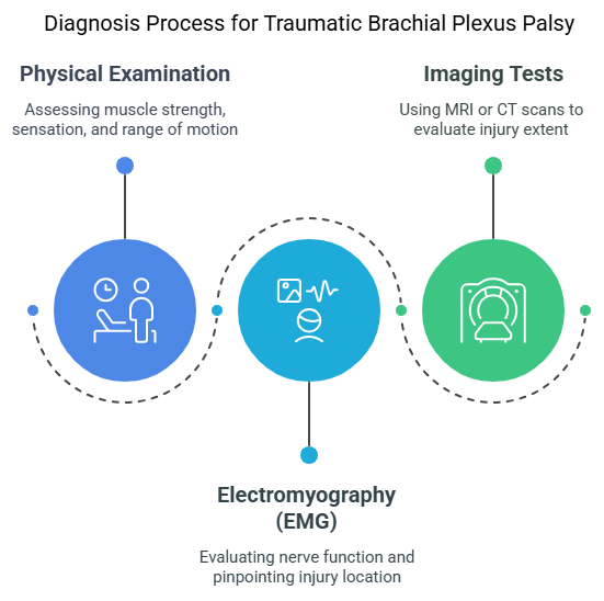 Diagnosis for traumatic brachial plexus palsy (adults) Diagnosis for traumatic brachial plexus palsy (adults)