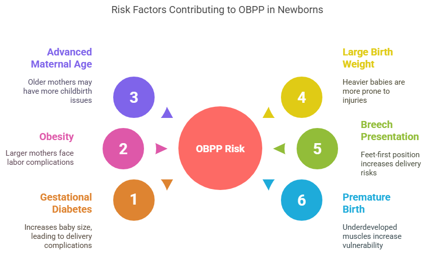 Risk factors for OBPP (Newborns) Risk factors for OBPP (Newborns)