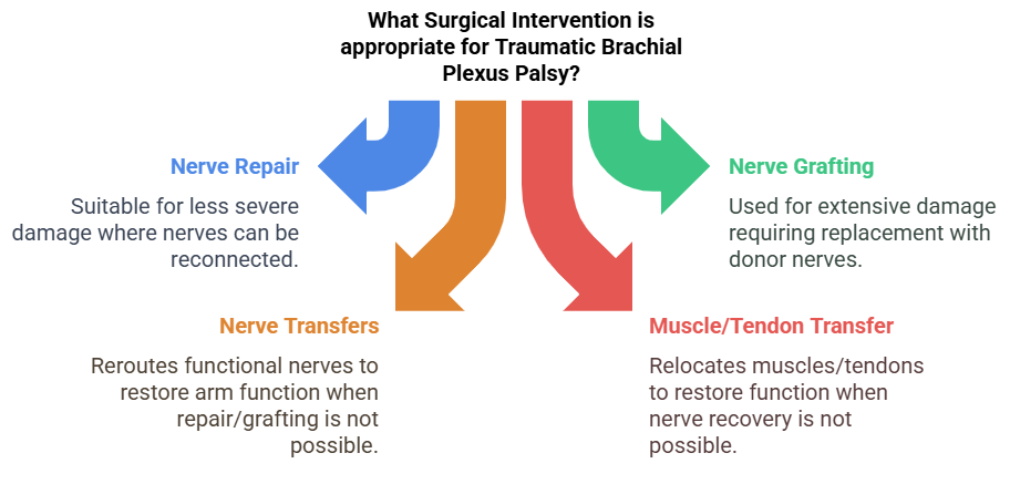 Surgical treatment for traumatic brachial plexus palsy Surgical treatment for traumatic brachial plexus palsy
