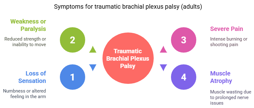 Symptoms for traumatic brachial plexus palsy (adults) Symptoms for traumatic brachial plexus palsy (adults)
