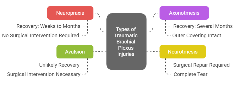 Types of traumatic brachial plexus injuries Types of traumatic brachial plexus injuries